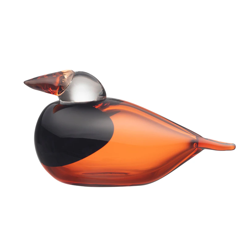 Drottiningfiskare, Orange